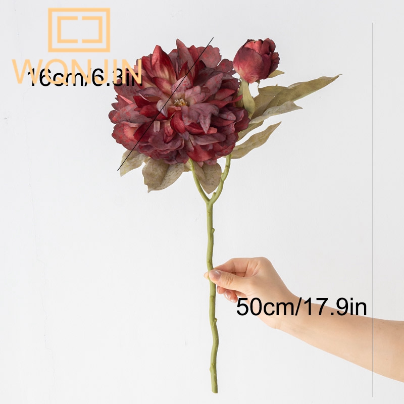 1PC Light Luxury 2 Head Big Pe - Photography Lighting Home recensie en prijs