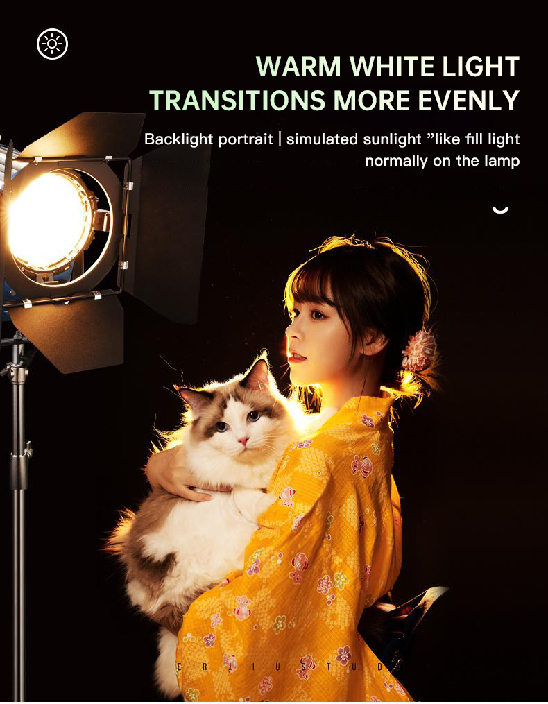 Beiyang 2000W Spotlight Hair L - Photography Lighting For Portraits recensie en prijs