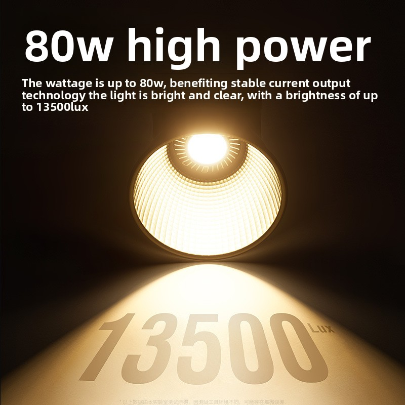 ZU80 80w Handheld Exterior Lam - Photography Lighting Portable recensie en prijs