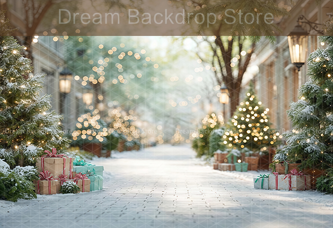 Photography Background Winter  - Photography Lighting For Portraits recensie en prijs