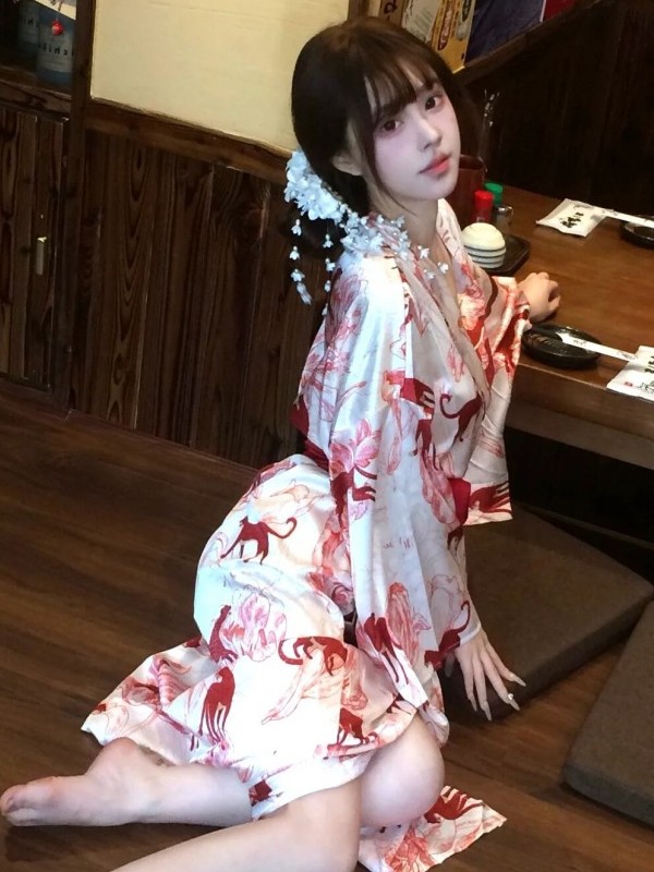 New Chinese Style Sleepwear Ha - Photography Lighting Style recensie en prijs