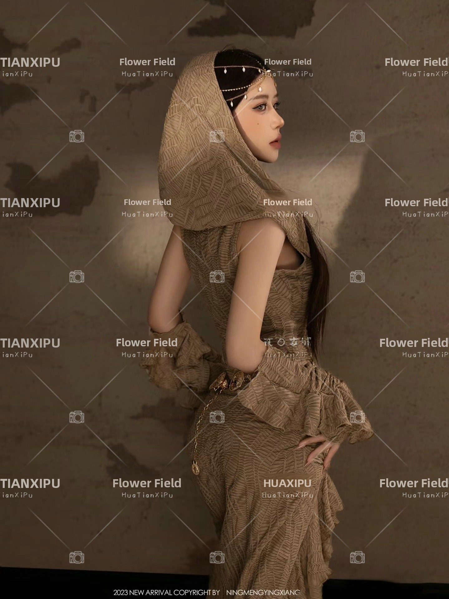 New Desert  Princess Style Pho - Photography Lighting Style recensie en prijs